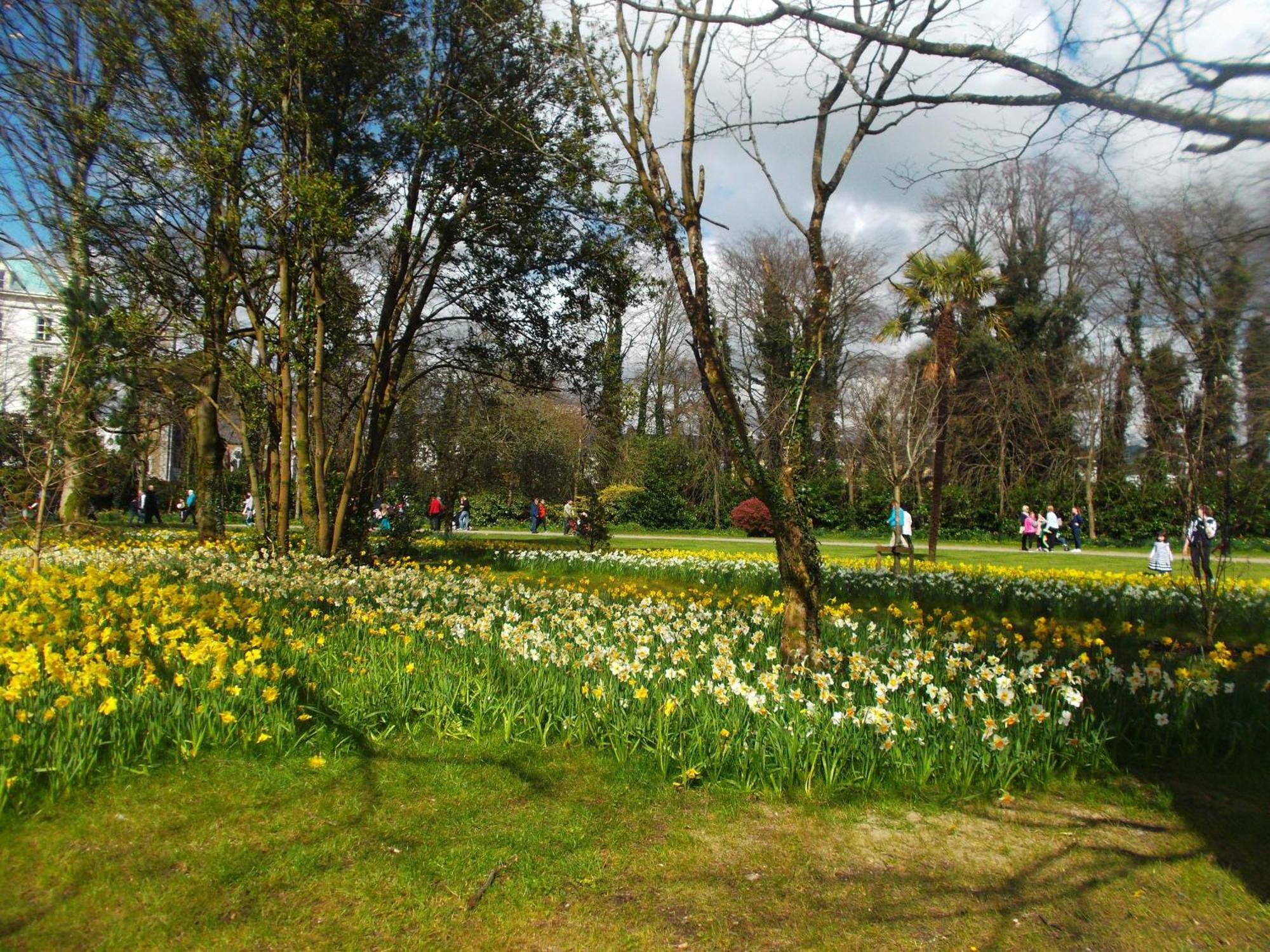 Kerry Holiday Homes At The Killarney Holiday Village מראה חיצוני תמונה